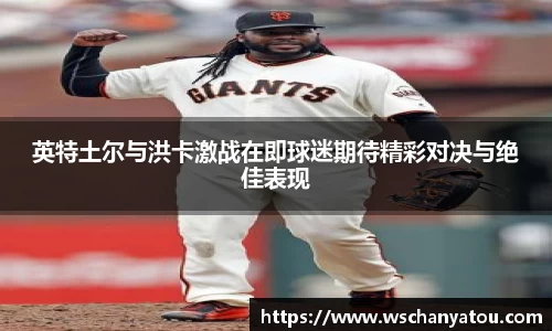 智博19有限公司